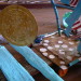 Education of a Poker Player: Girl Cart thumbnail