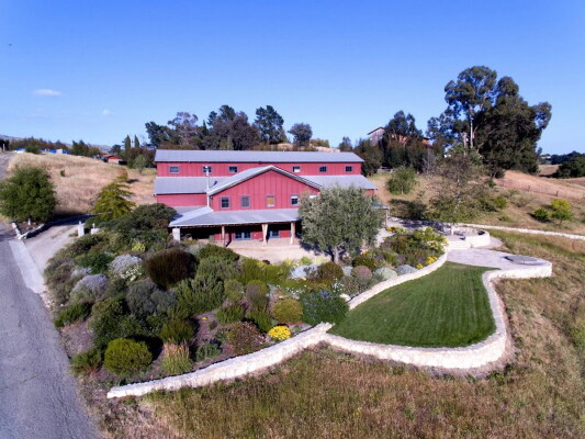 Kipaipai Willow Pond