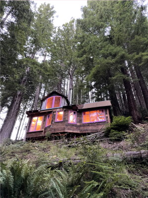 Salmon Creek Rainbow 2